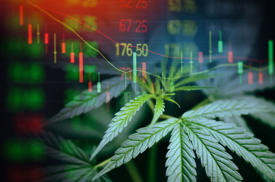 INVESTIR CBD